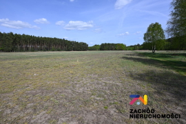 Działka budowlana o pow. 3020m2 w Bronkowie